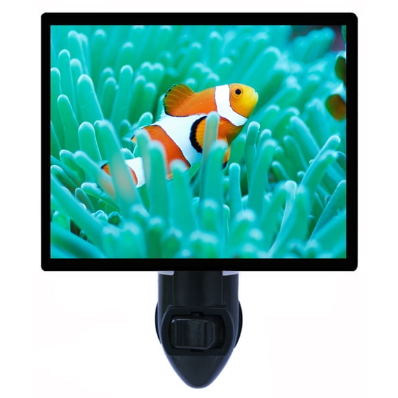 Night Light - Clown Fish. | Fish Theme, Includes Free Switchable Insert, 4W Bulb, E12 Base