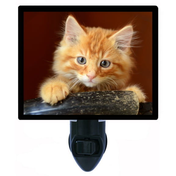Night Light - Curious Kitten. | Cat Theme, Includes Free Switchable Insert, 4W Bulb, E12 Base