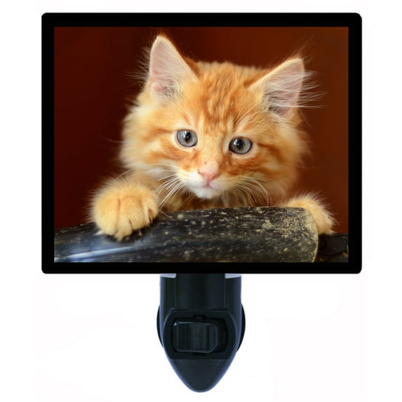 Night Light - Curious Kitten. | Cat Theme, Includes Free Switchable Insert, 4W Bulb, E12 Base