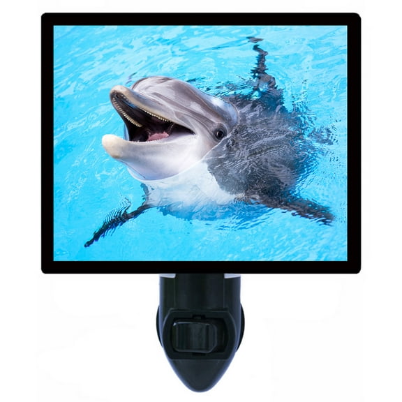 Night Light - Dolphin Smiling. | Dolphin Theme, Includes Free Switchable Insert, 4W Bulb, E12 Base