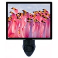 thumbnail image 1 of Night Light - Flamingo Party. | Tropical Theme, Includes Free Switchable Insert, 4W Bulb, E12 Base, 1 of 2