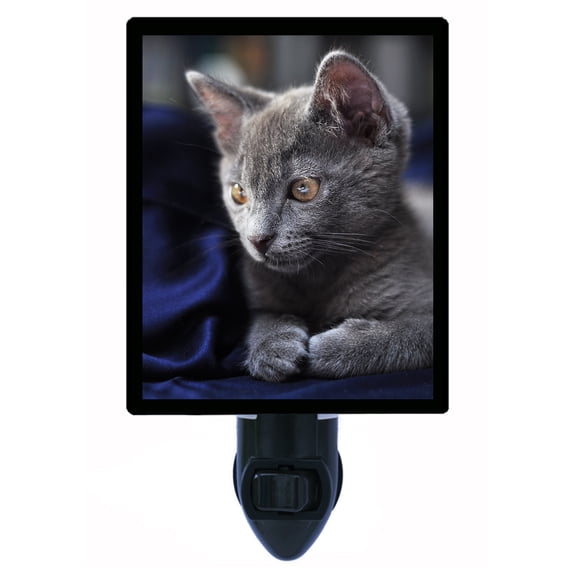 Night Light - Lookin' Pretty. | Cat Theme, Includes Free Switchable Insert, 4W Bulb, E12 Base