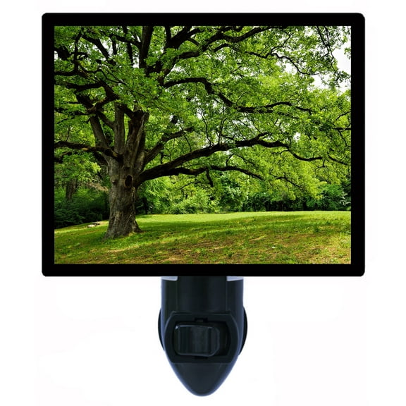 Night Light - Night Light Plus Extra Free Switchable Insert. 4 Watt Bulb, E12 Base. Oak Tree in Park.