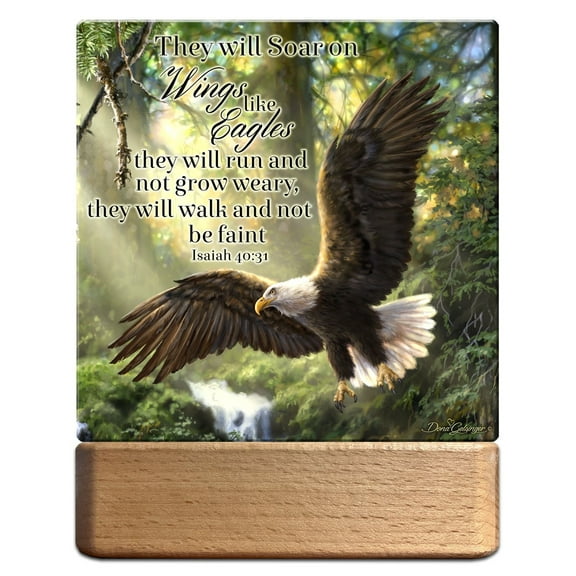 Glow Decor 350368 Night Light & Plaque - LED - Eagles Flight with Scripture - 7 in.