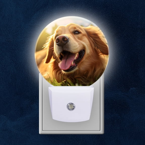 Night Light Plug into Wall,Dusk to Dawn Sensor Auto-On/Off for Bathroom, Hallway,Kids Room-Golden Retriever Dog Laying On The Grass