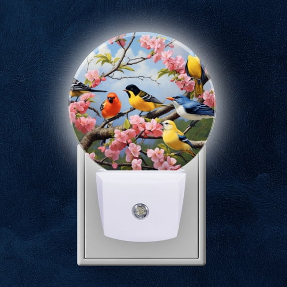 Night Light Plug into Wall,Dusk to Dawn Sensor Auto-On/Off for Bathroom, Hallway,Kids Room-Group Of Colorful Birds Perched On The Branches