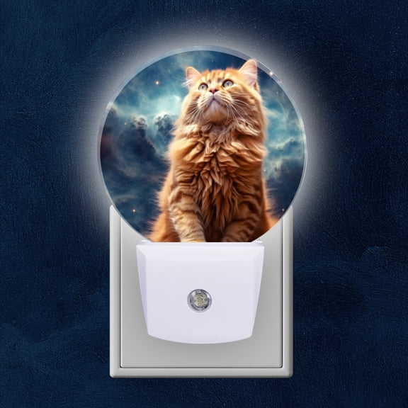 Night Light Plug into Wall,Dusk to Dawn Sensor Auto-On/Off for Bathroom, Hallway,Kids Room-Orange Cat With Long Fur Standing Upright And Looking Up