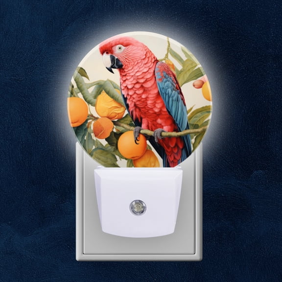 Night Light Plug into Wall,Dusk to Dawn Sensor Auto-On/Off for Bathroom, Hallway,Kids Room-Red And Blue Macaw Parrot Sitting On Orange Tree