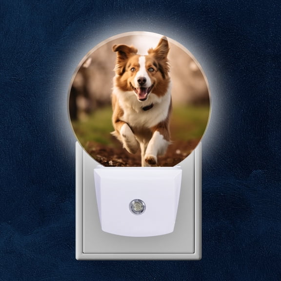 Night Light Plug into Wall,Dusk to Dawn Sensor Auto-On/Off for Bathroom, Hallway,Kids Room-Red And White Border Collie Running In The Spring Orchard