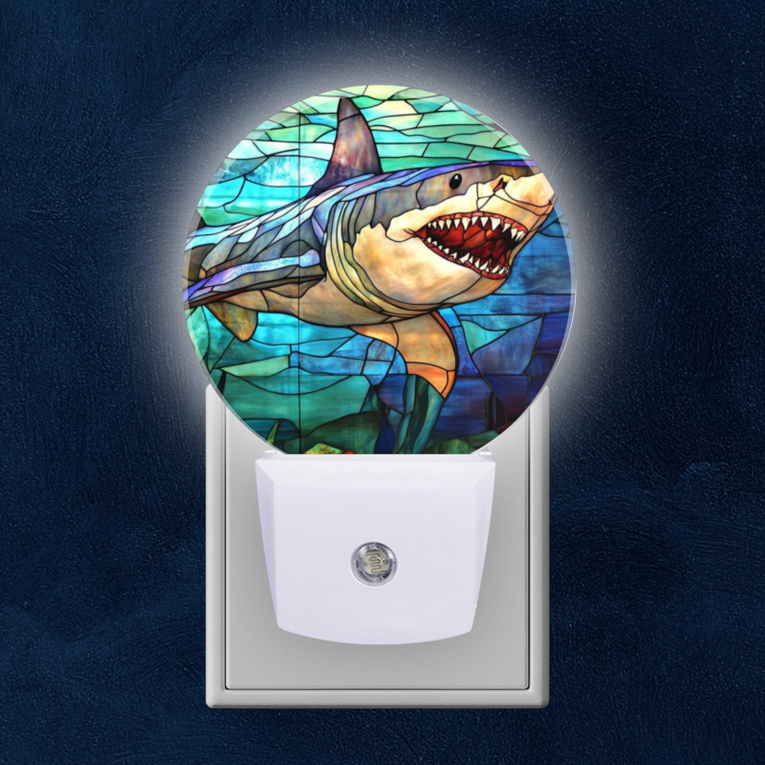 Night Light Plug into Wall,Dusk to Dawn Sensor Auto-On/Off for Bathroom ...