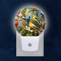 Night Light Plug into Wall,Dusk to Dawn Sensor Auto-On/Off for Bathroom, Hallway,Kids Room-Vibrant Painting Of Various Birds Perched On Tree Branches