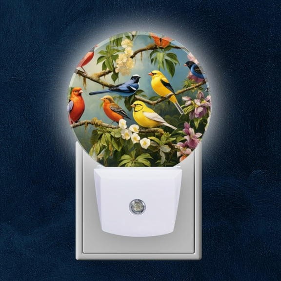 Night Light Plug into Wall,Dusk to Dawn Sensor Auto-On/Off for Bathroom, Hallway,Kids Room-Vibrant Painting Of Various Birds Perched On Tree Branches