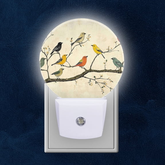 Night Light Plug into Wall,Dusk to Dawn Sensor Auto-On/Off for Bathroom, Hallway,Kids Room-Vintage Birds In Vintage Style With Various Colorful