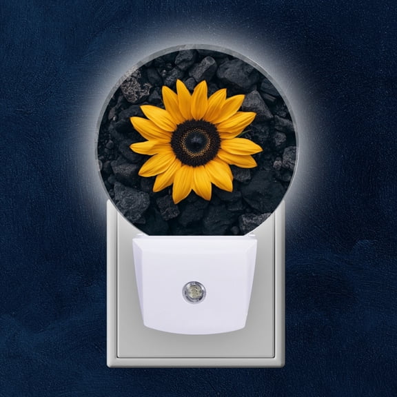 Night Light Plug into Wall,Dusk to Dawn Sensor Auto-On/Off for Bathroom, Hallway,Kids Room-Yellow Sunflower Laying On Pile Of Rocks