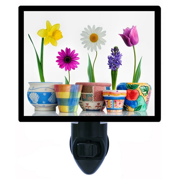 Night Light - Night Light Plus Extra Free Switchable Insert. 4 Watt Bulb, E12 Base. Decorative Pots.