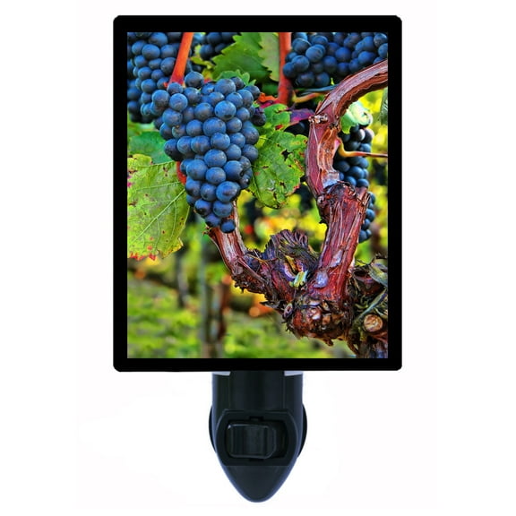 Night Light - Night Light Plus Extra Free Switchable Insert. 4 Watt Bulb, E12 Base. Grape Vines.