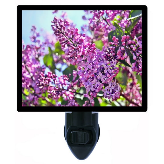 Night Light - Night Light Plus Extra Free Switchable Insert. 4 Watt Bulb, E12 Base. Lilac.