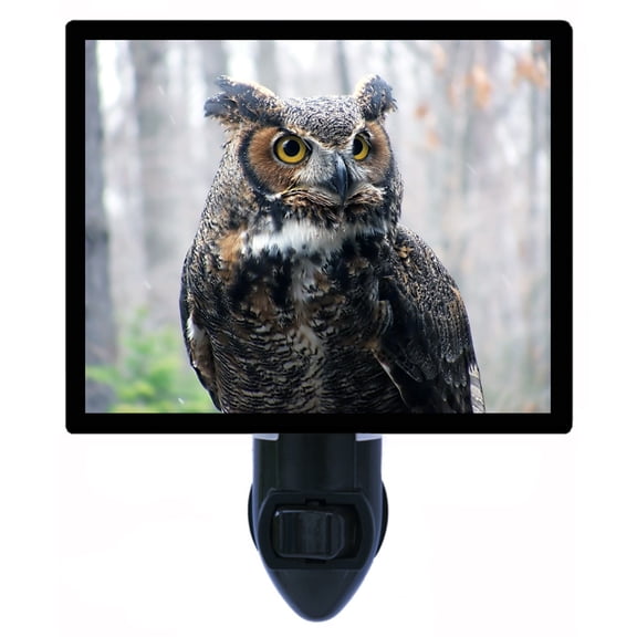 Night Light - Night Light Plus Extra Free Switchable Insert. 4 Watt Bulb, E12 Base. Watchful Owl.