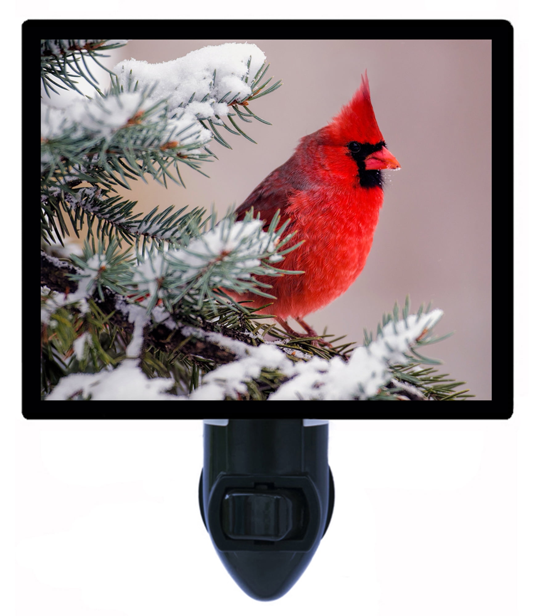 Night Light - Night Light Plus Extra Free Switchable Insert. 4 Watt Bulb, E12 Base. Winter Cardinal.