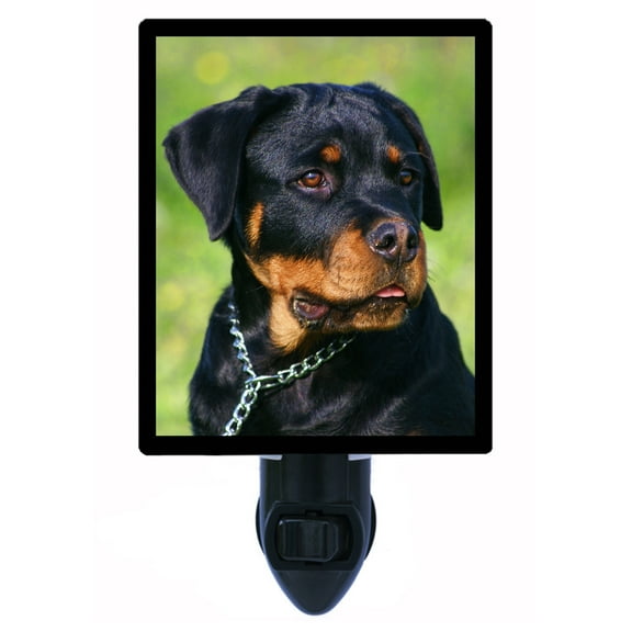 Night Light - Rottweiler. | Dog Theme, Includes Free Switchable Insert, 4W Bulb, E12 Base