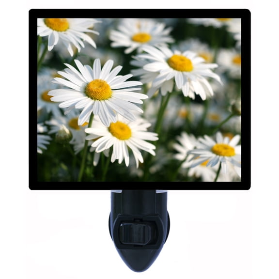Night Light - Spring Daisies. | Flower Theme, Includes Free Switchable Insert, 4W Bulb, E12 Base