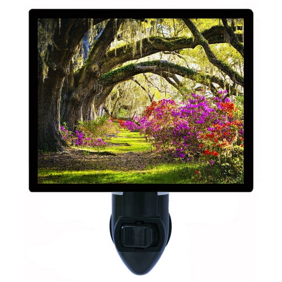 Night Light - Summer Park. | Landscape Theme, Includes Free Switchable Insert, 4W Bulb, E12 Base