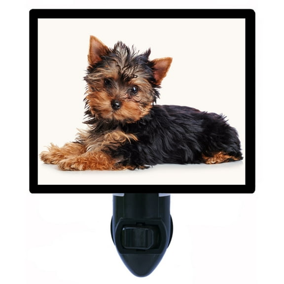 Night Light - Yorkie. | Dog Theme, Includes Free Switchable Insert, 4W Bulb, E12 Base