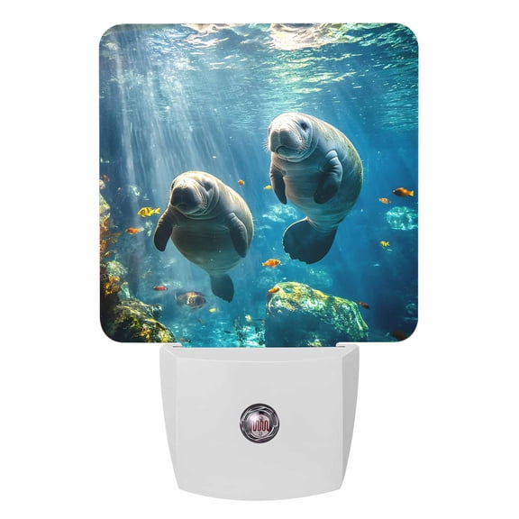 Night Lights Auto Sensor Sea Lion Plug-in LED Nightlights Lamp Dusk to Dawn for Living Room, Bedroom, Bathroom, Hallway, Stairways Home Wall Decor, Fish Coral Tropical Marine Life Night Light