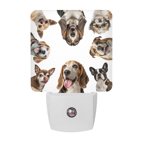 Night Lights Plug into Wall, Cute Dogs LED Night Light with Dusk to Dawn Sensor, Animals Gypsies Bulldog Cattledogs Modern Art Decorative Nightlight for Hallway Bathroom Kitchen