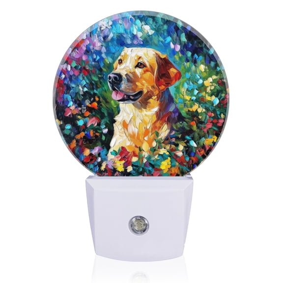 Night Lights Plug Into Wall, Exquisite Colorful - Meadow Lab LED Night Lights Lamp with Dusk to Dawn Sensor for Kids Room, Bedroom, Bathroom, Kitchen, Hallway