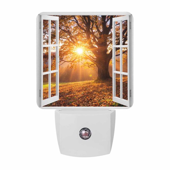 Night Lights Plug into Wall, Window View LED Night Light with Dusk to Dawn Sensor, Fall Sunrise Fallen Leaves Old Oak Tree Decorative Nightlight for Hallway Bathroom Kitchen