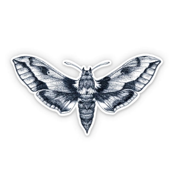 Night Moth Pretty - 12" Vinyl Sticker Waterproof Decal