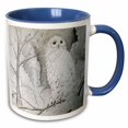 thumbnail image 1 of 3drose, Night Owl, 15oz Two-tone Blue Mug, 1 of 6