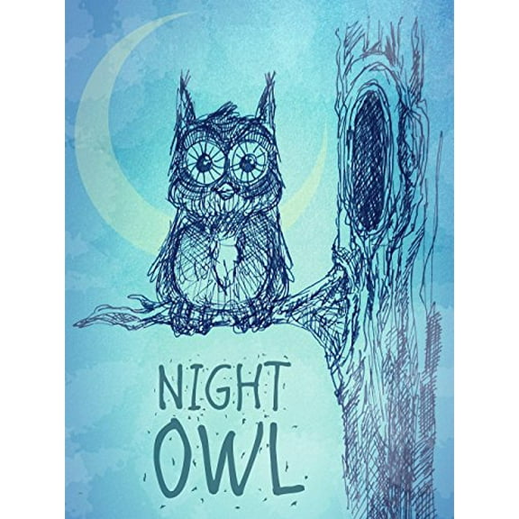 Night Owl Edible Cake Image Topper 1/4 Sheet