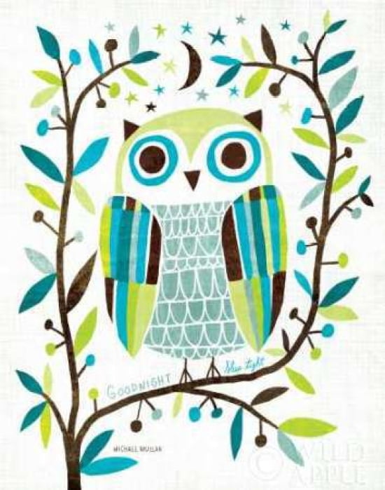 Night Owl II Canvas Art - Michael Mullan (22 x 28)