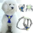 thumbnail image 1 of Night Reflective Dog Harness Leash with Breathable Mesh Vest for Outdoor Walking Training and Running Adjustable Pet Gear, 1 of 8