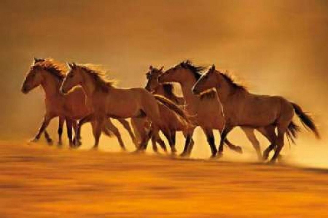 Night Runners Canvas Art - Lisa Dearing (24 x 36)