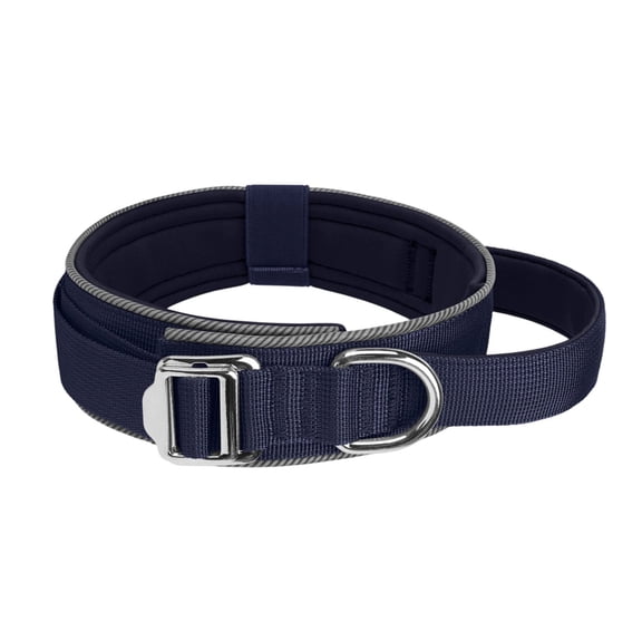 Night Safe Reflective Dog Collar Soft Padded Adjustable Collar For Training And Control