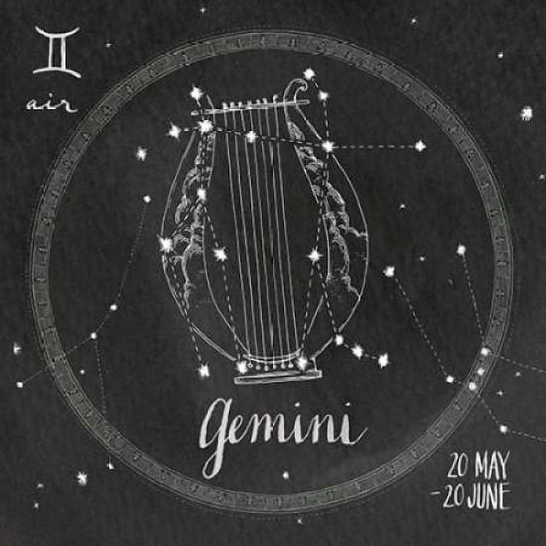 Night Sky Gemini Canvas Art - Sara Zieve Miller (24 x 24)