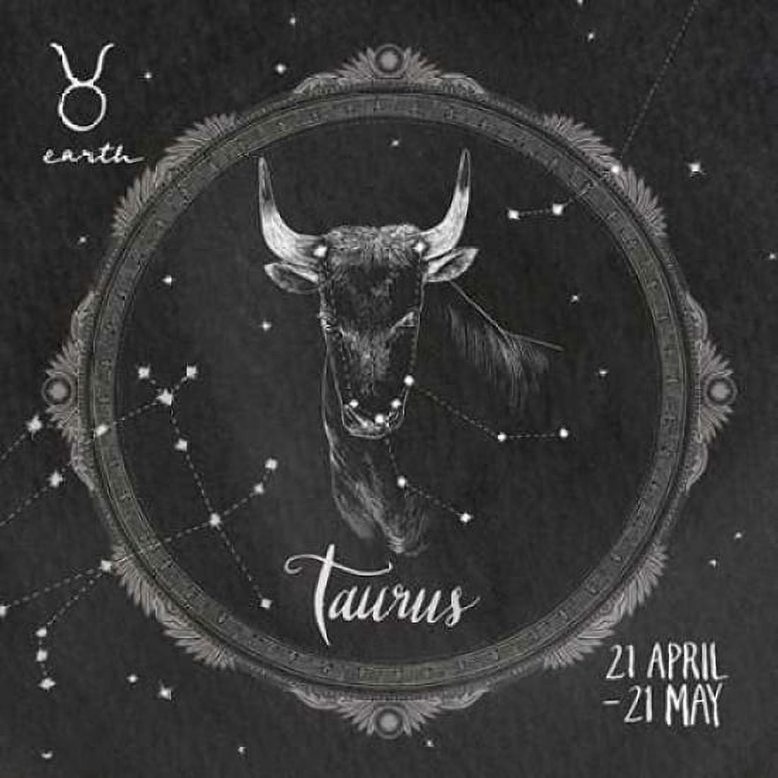 Night Sky Taurus Canvas Art - Sara Zieve Miller (24 x 24)