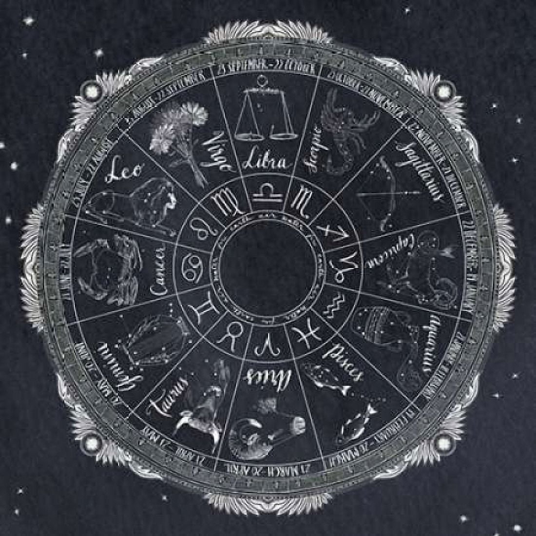 Night Sky Zodiac Canvas Art - Sara Zieve Miller (24 x 24)