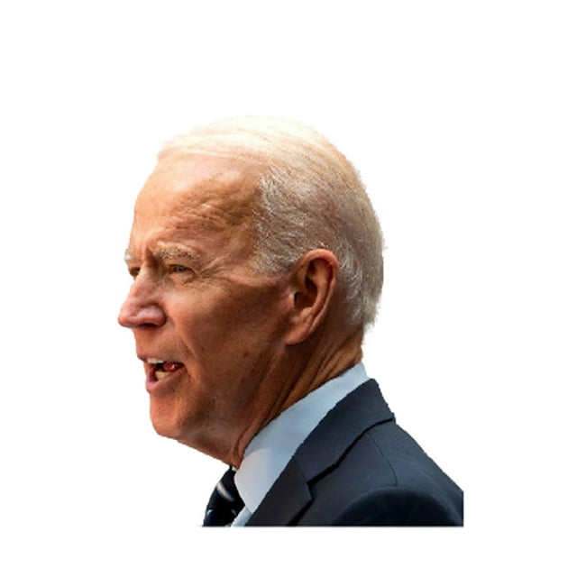 Night Sticker 2024 US Presidential Election Car Decal Choice Display