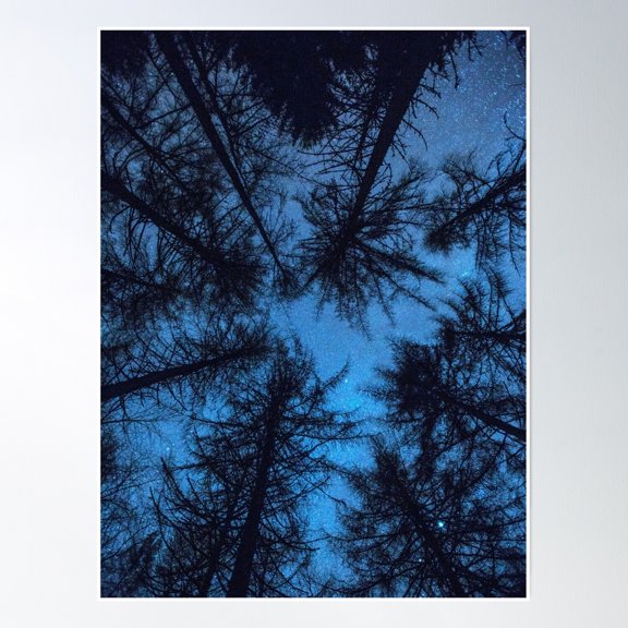 Night Trees Poster Wall Art, Modern Wall Decor, 24x36 UNFRAMED