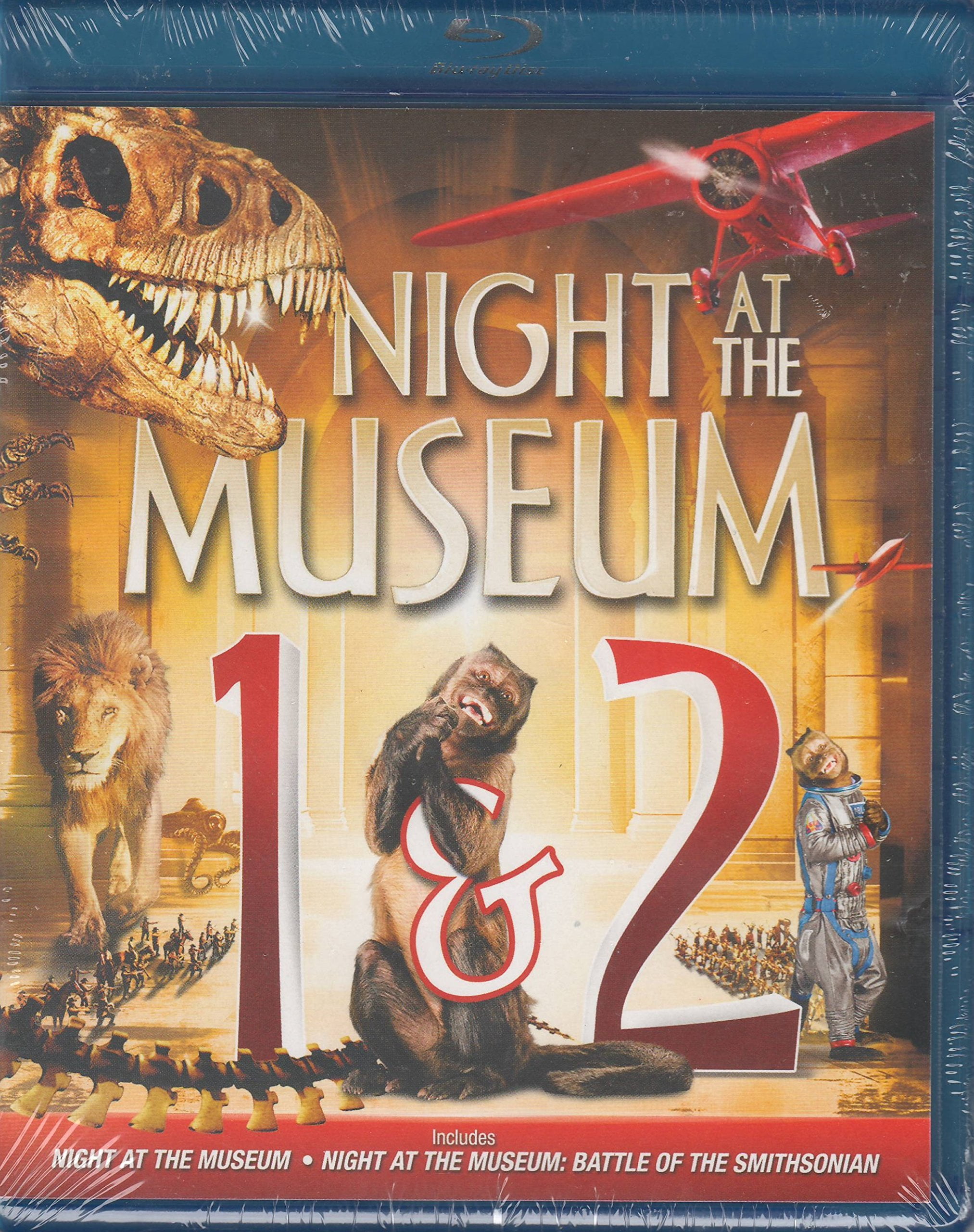 Night Museum 2