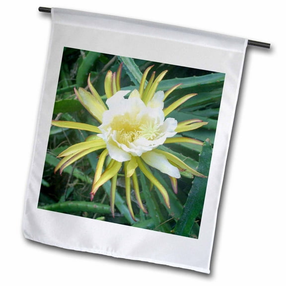 3dRose, Night blooming cereus flower - NA01 DPB0025 - Douglas Peebles, 12 x 18 inch Garden Flag