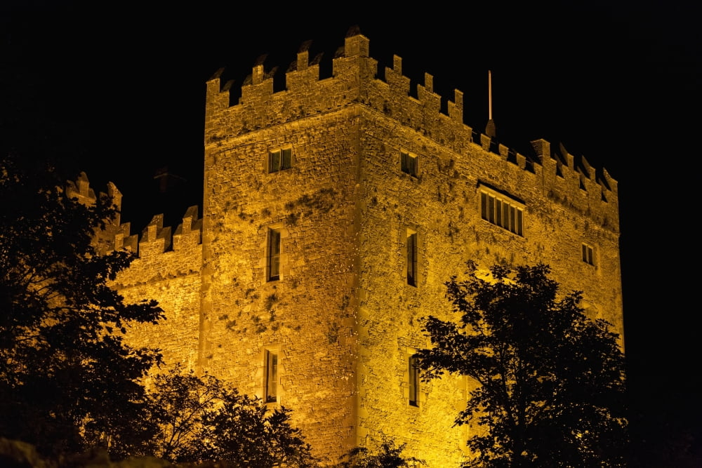 Night lights illuminating Bunratty Castle with silhouetted trees and black sky Bunratty County Clare Ireland Canvas Art - Michael Interisano Design Pics (19 x 12)