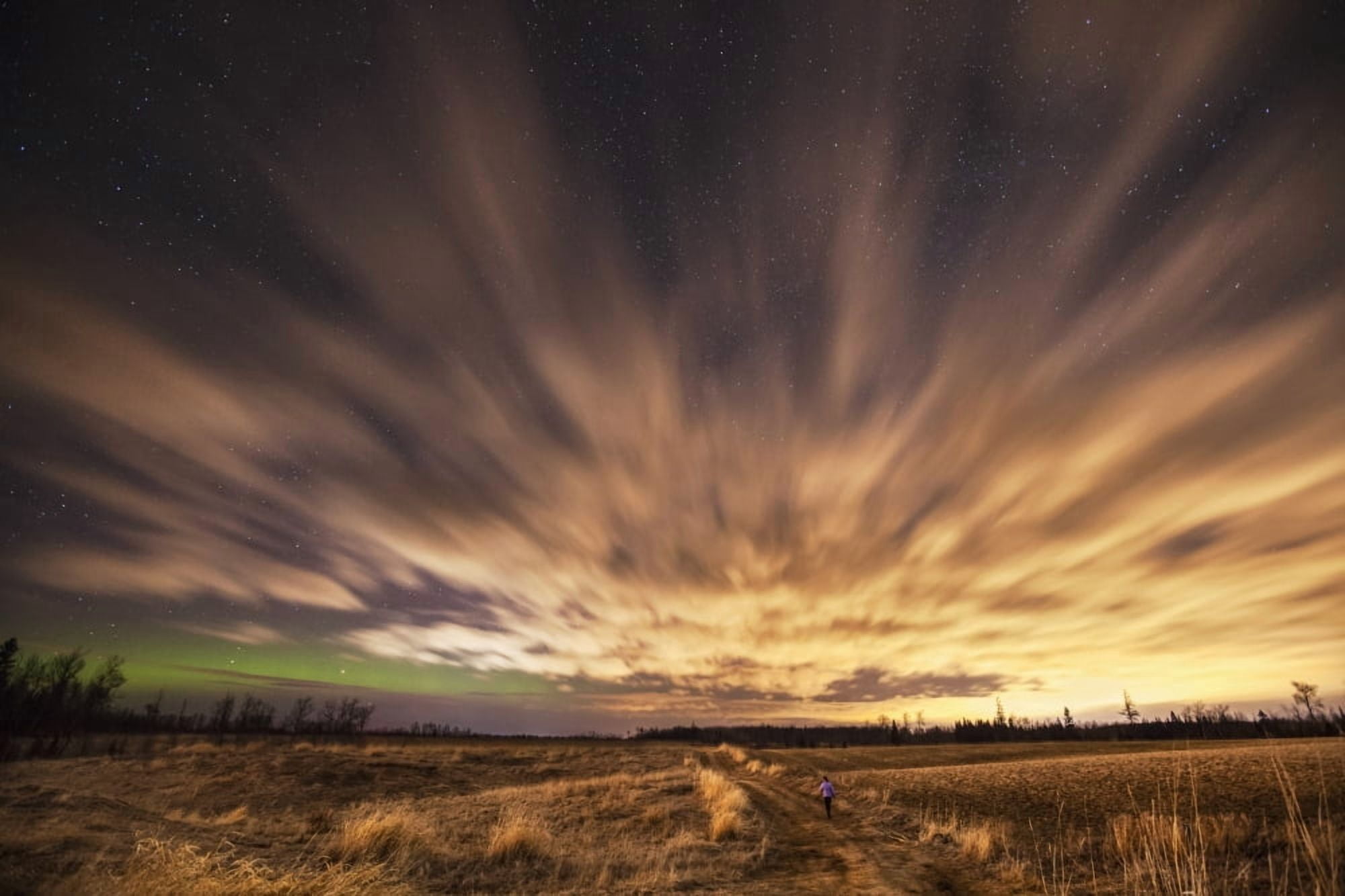 Night sky with aurora borealis Thunder Bay Ontario Canada Canvas Art - Susan Dykstra Design Pics (18 x 12)