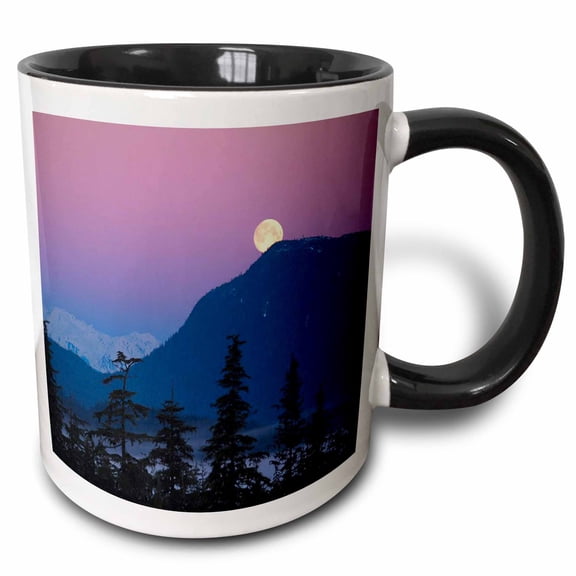 3drose, Nightfall in Alaska, 11oz Two-tone Black Mug