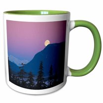 3drose, Nightfall in Alaska, 15oz Two-tone Green Mug