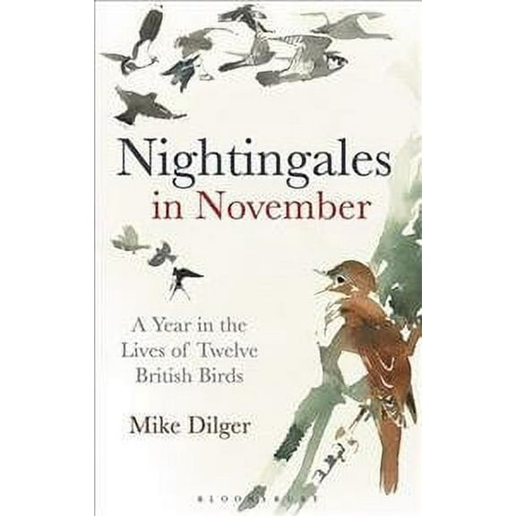 Nightingales in November : A Year in the Lives of Twelve British Birds (Paperback)